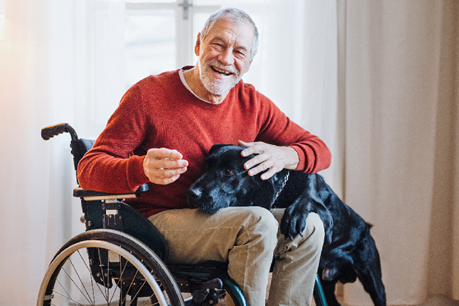 older man in wheelchair with dog